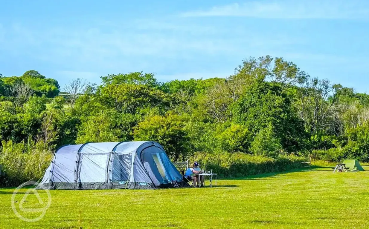 Non electric grass pitches