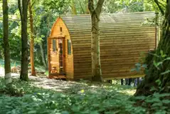 Glamping pod in the woodland Glamping pod in the woodland