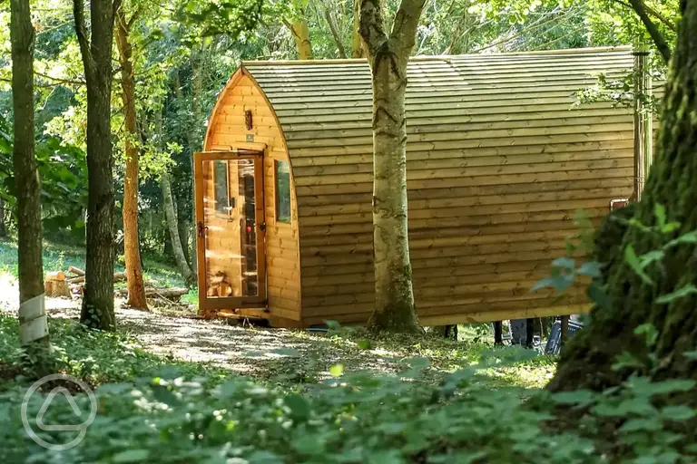Glamping pod in the woodland