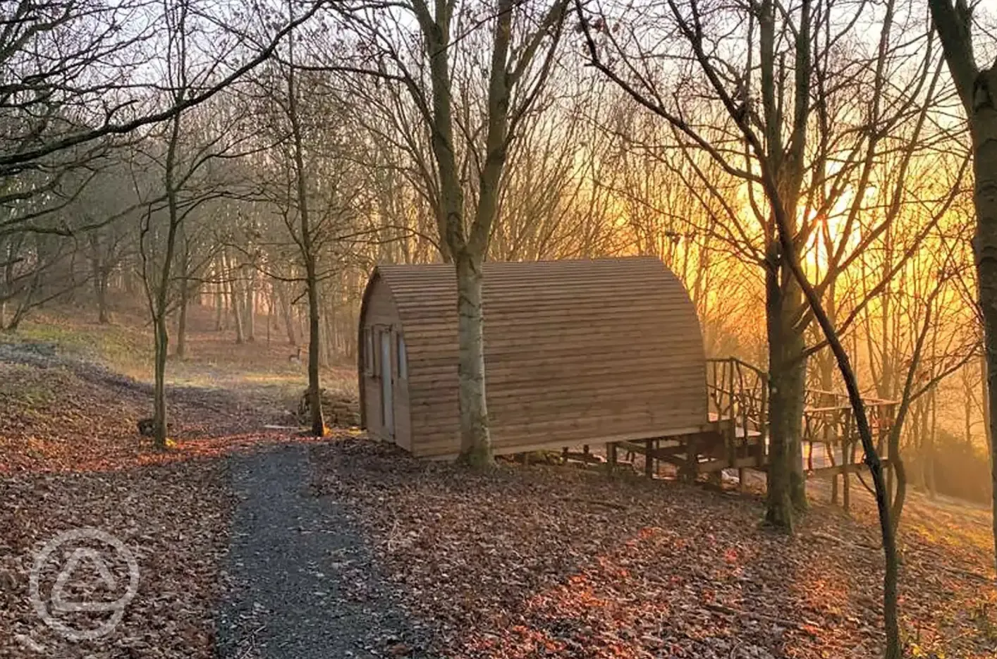 Glamping pod in the woodland