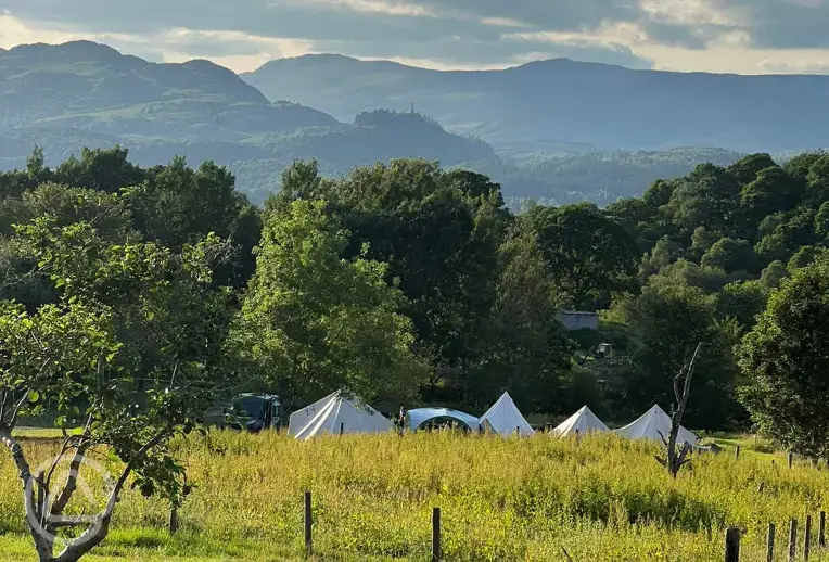 Wild pitches and bell tents with scenic view