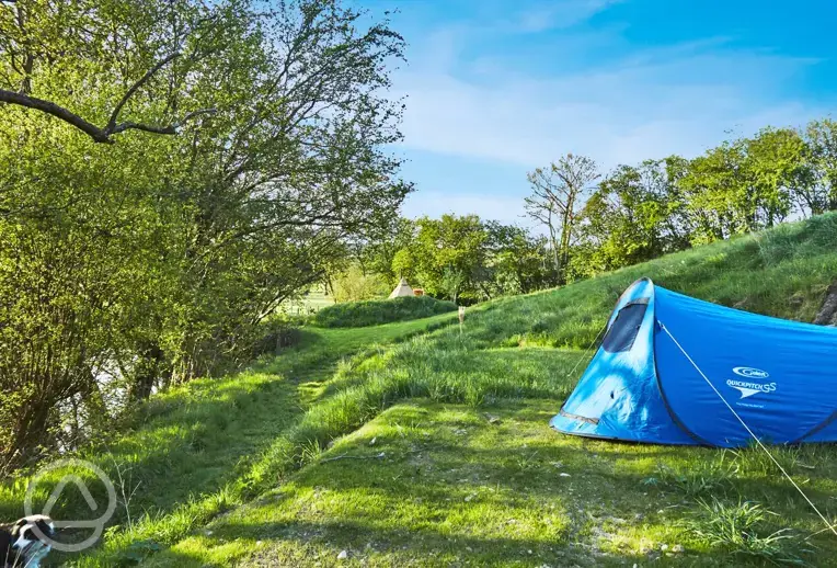 Grass Tent Pitch