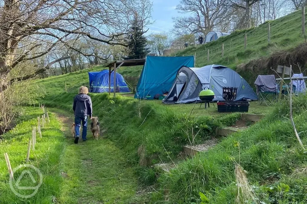 Grass Tent Pitch