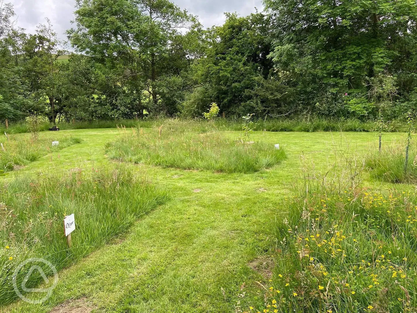 Grass Tent Pitch