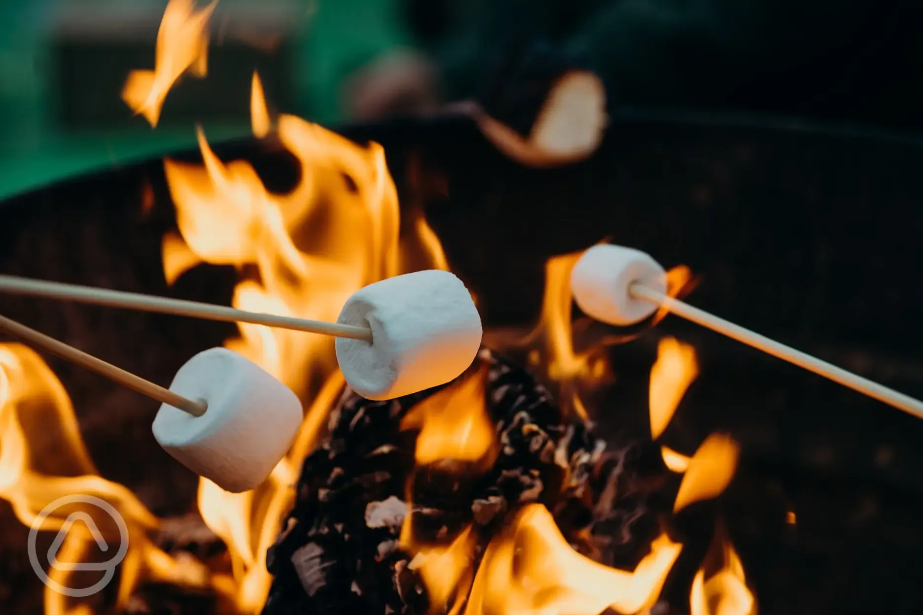 Toast marshmallows round the fire pit