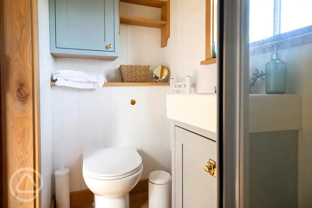 Saltmarsh shepherd's hut ensuite