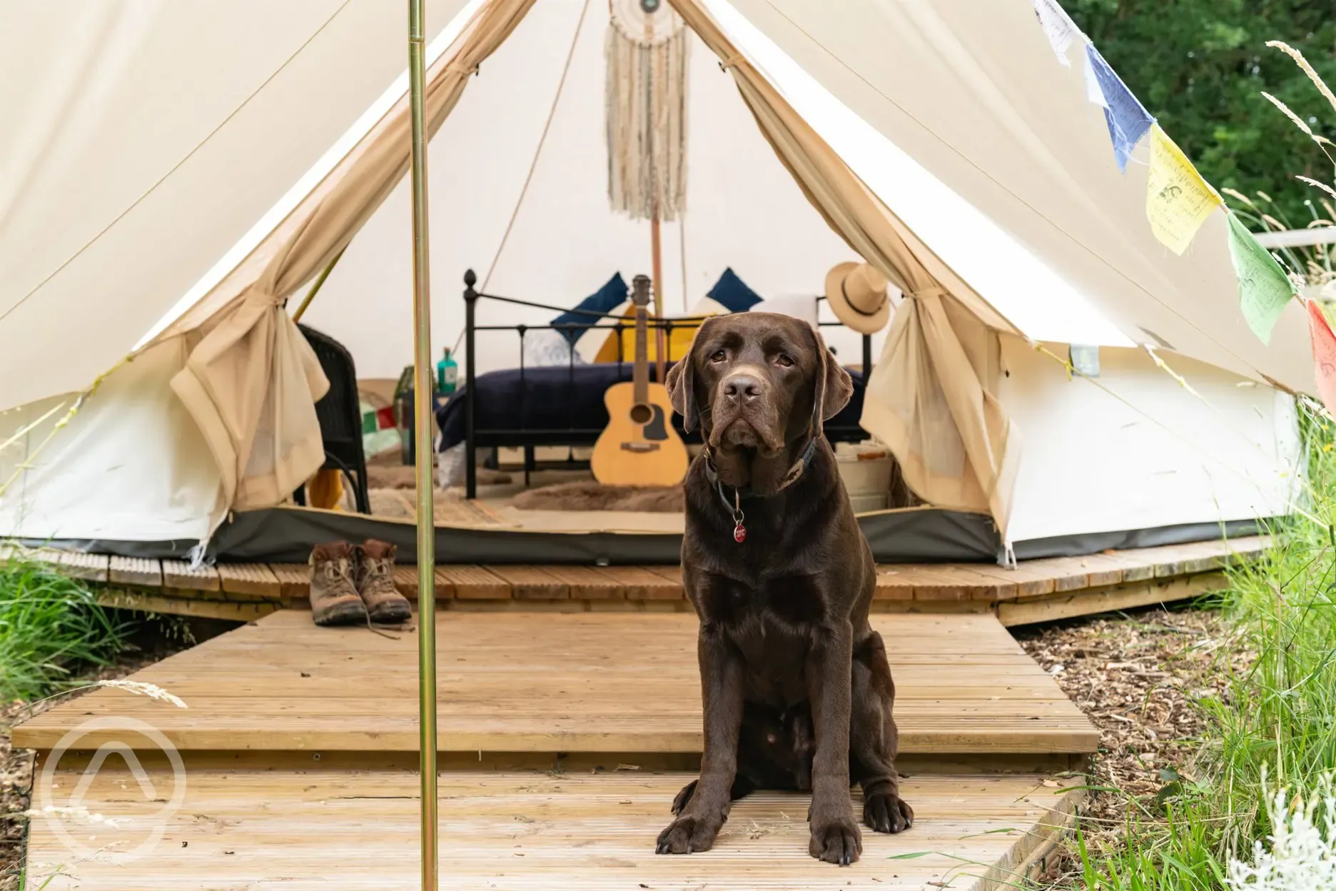 Dog friendly furnished bell tent 