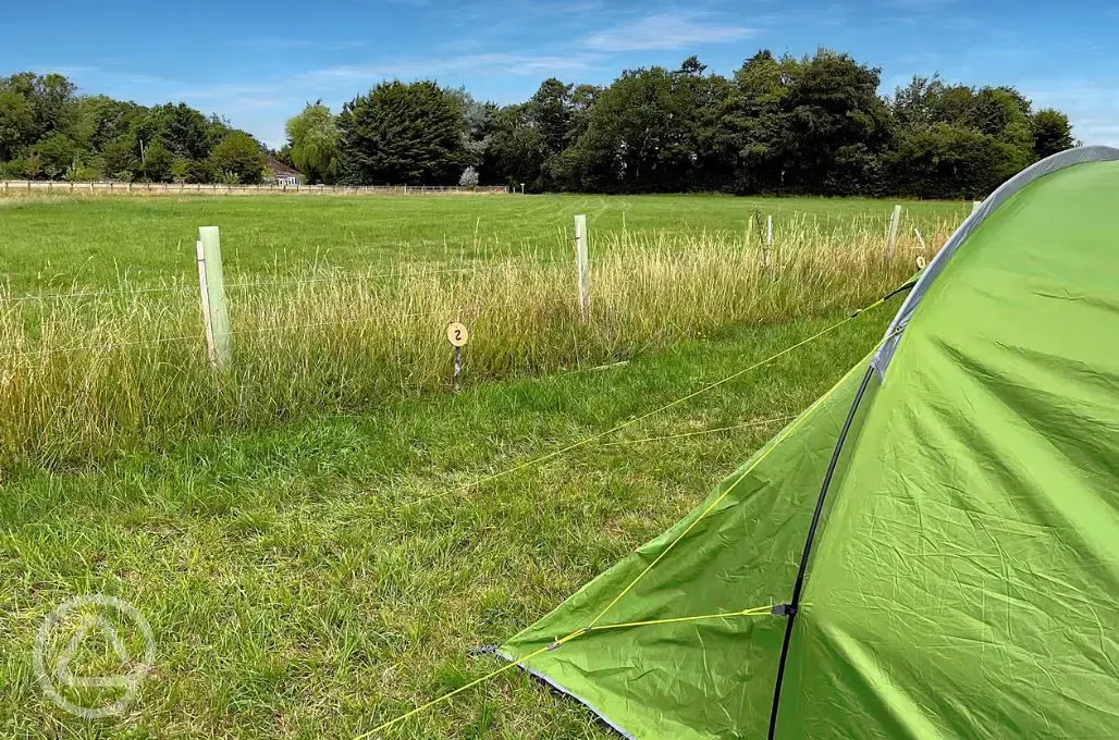 Non electric grass tent pitches