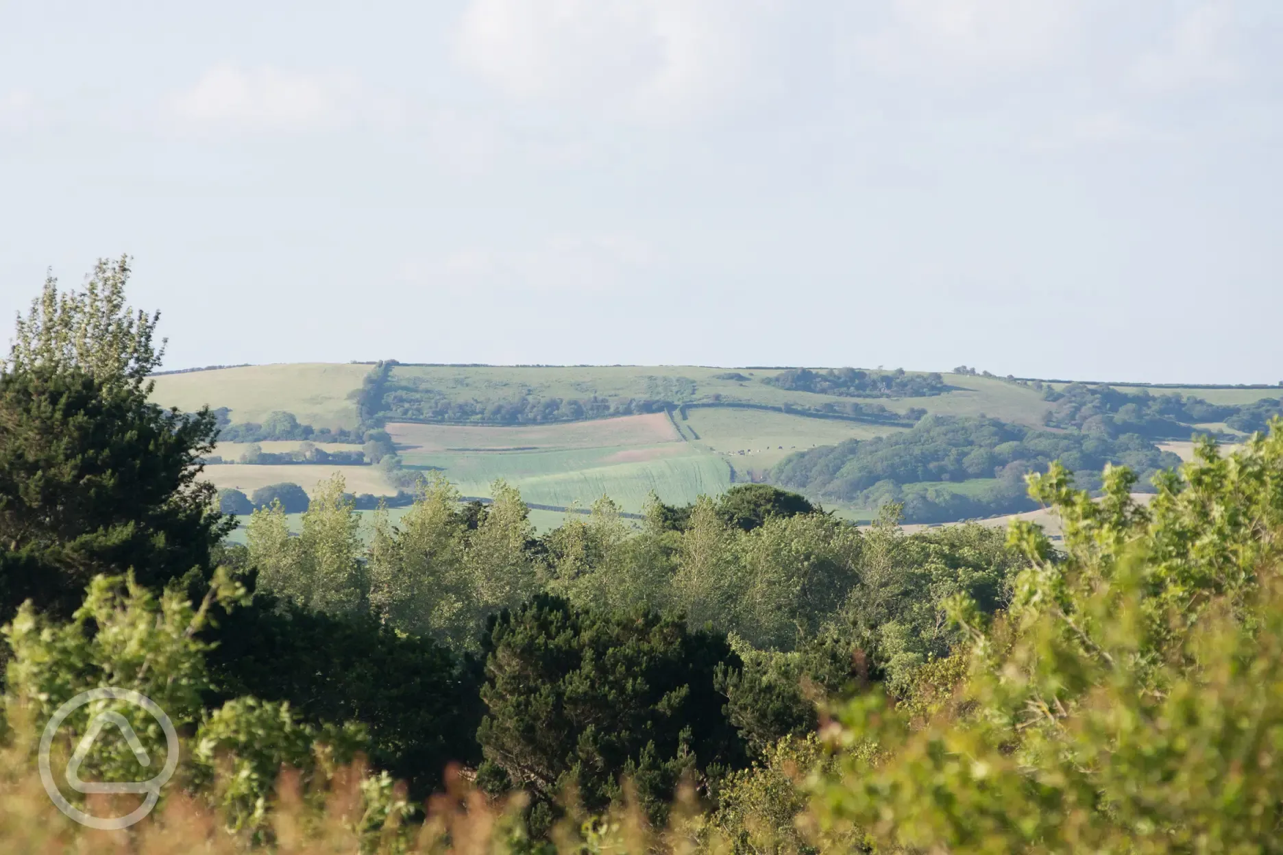 Countryside views towards Shanklin downs