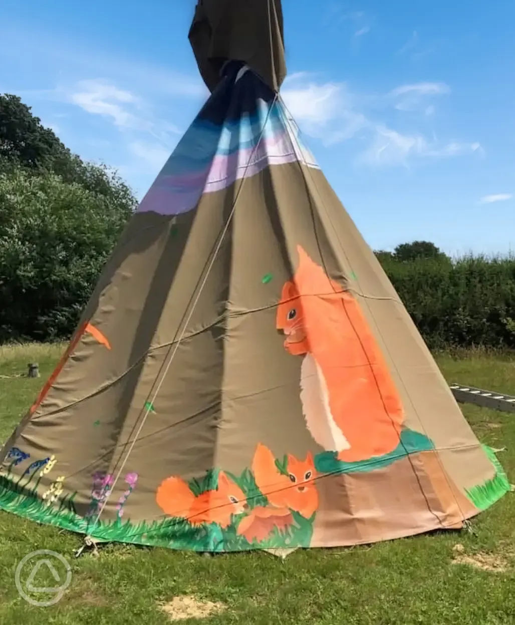 Tipi