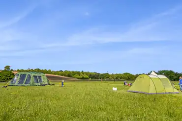 Non electric grass pitches