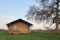 Safari tent