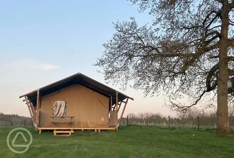 Safari tent
