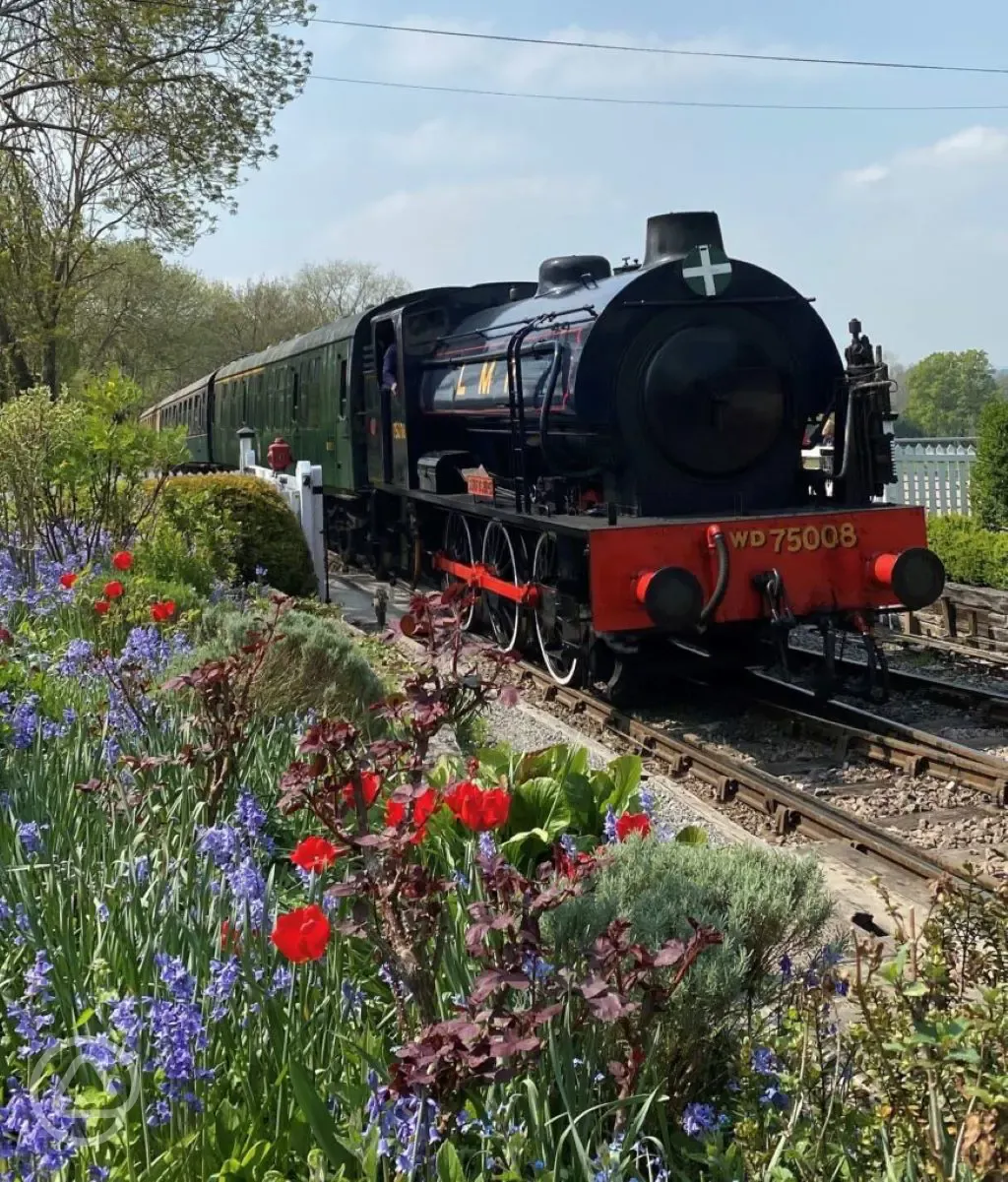 Passing steam train