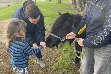 Pony feeding on the campsite