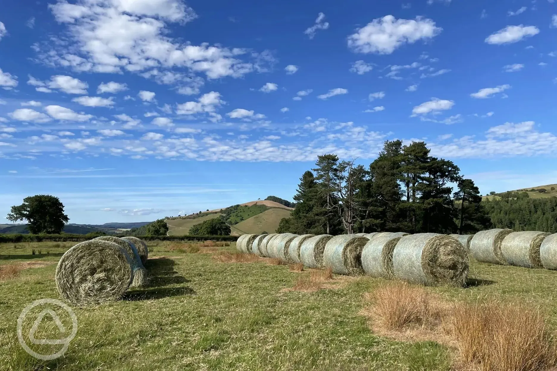 Local farm