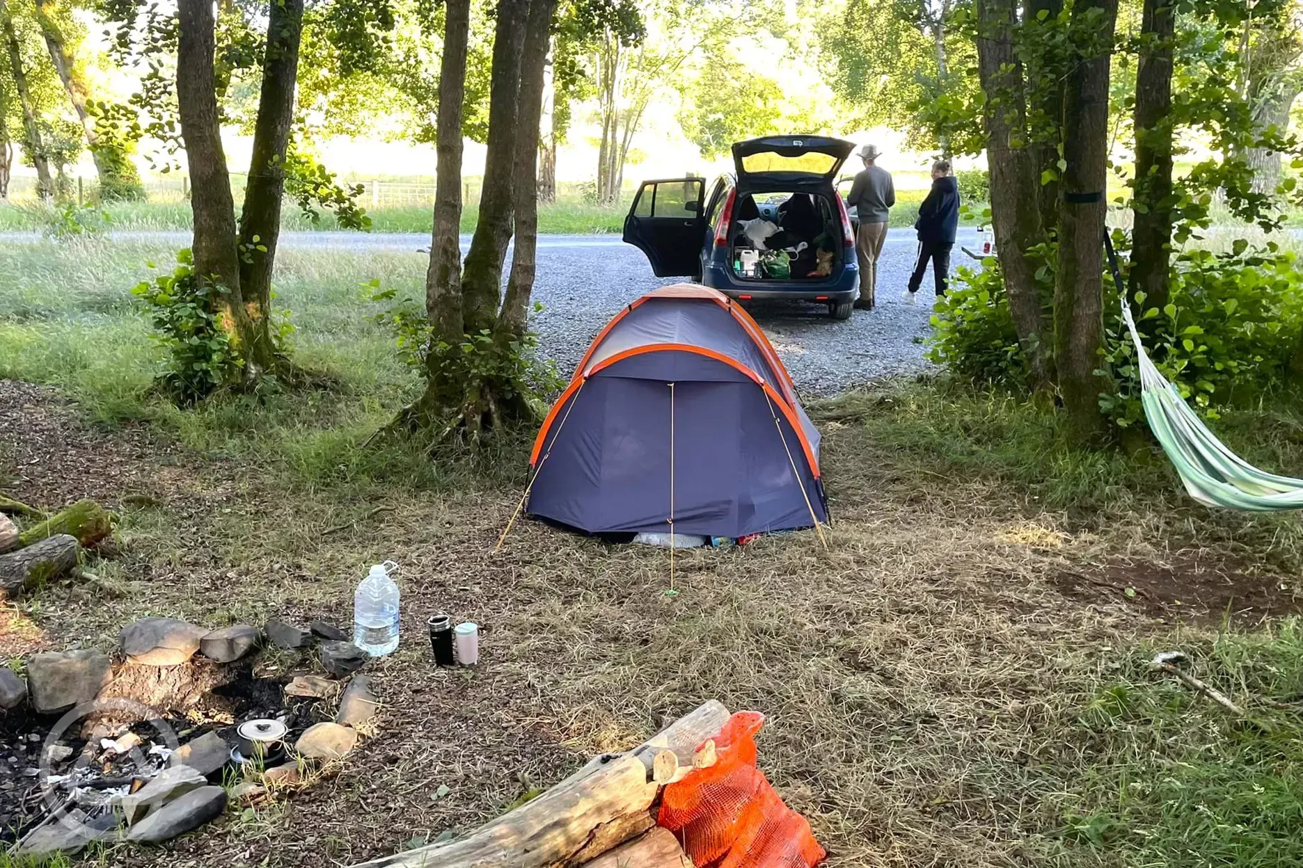 Woodland non electric grass pitch