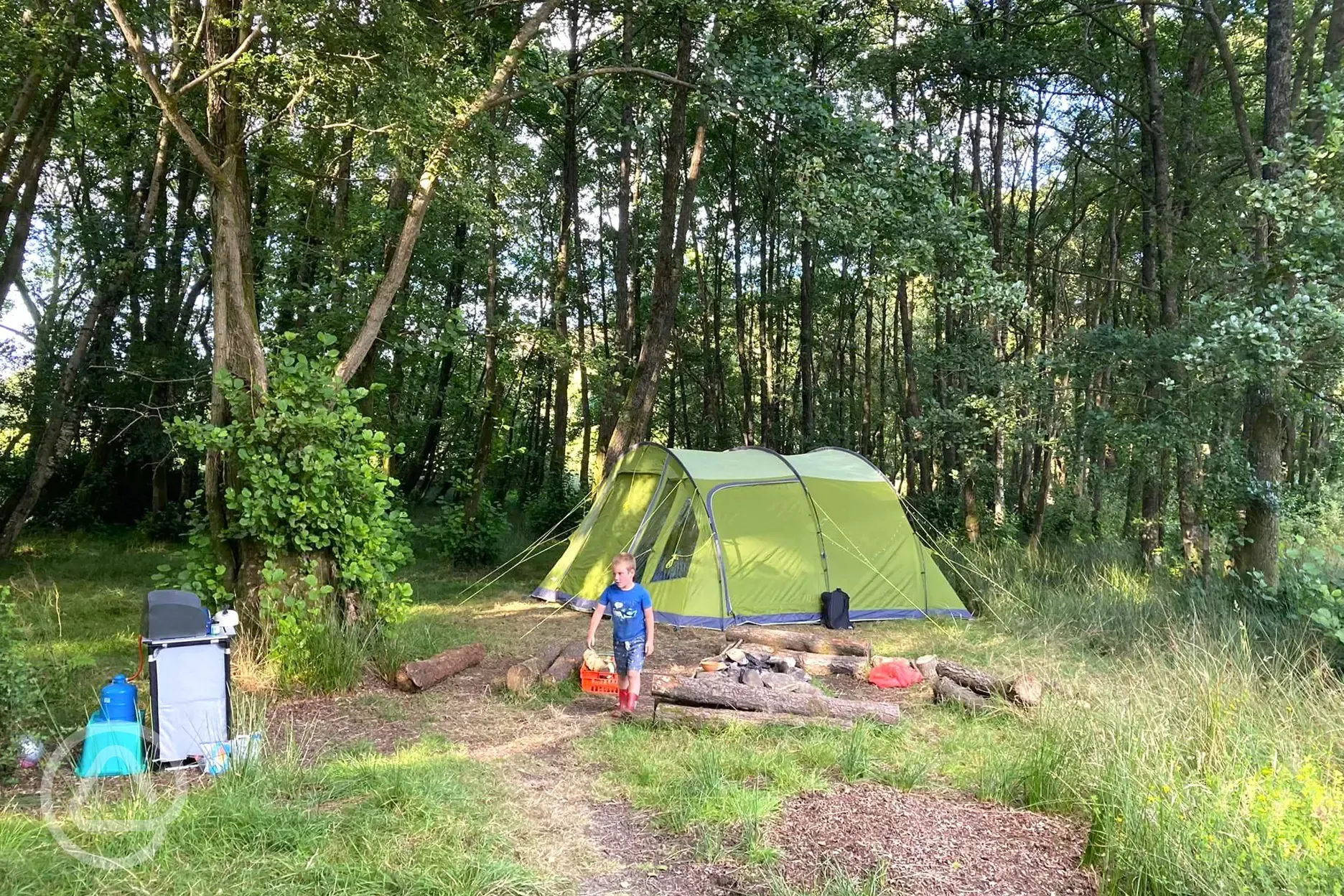 Woodland non electric grass pitch