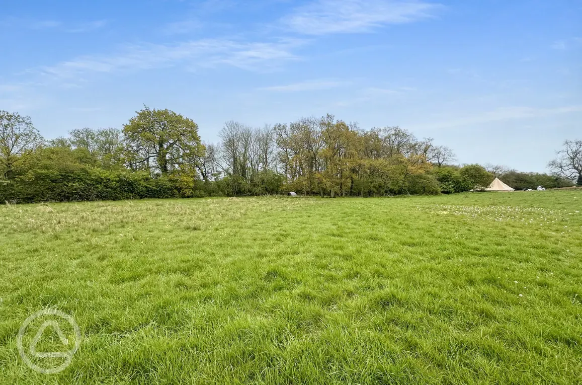 Camping meadow