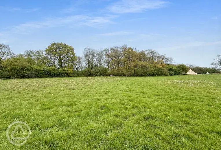 Camping meadow