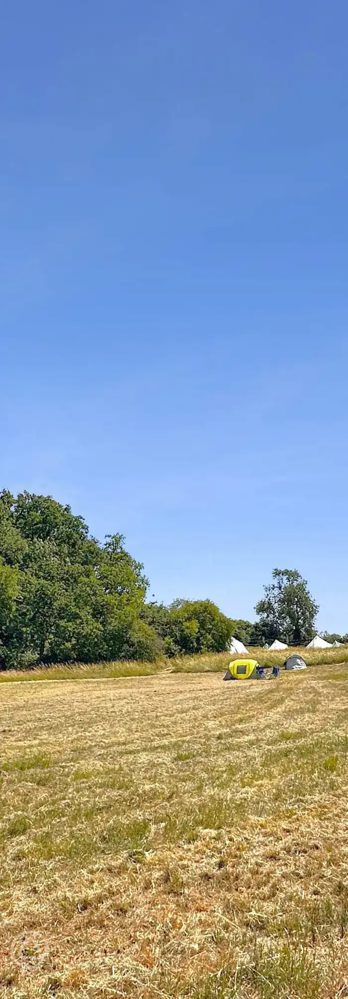 Silverstone Camping at Buzzard Holt Hosting, Chackmore