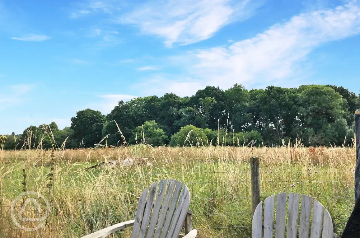 Camping meadow