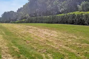 Non electric grass pitches