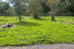 Electric grass pitches Electric grass pitches