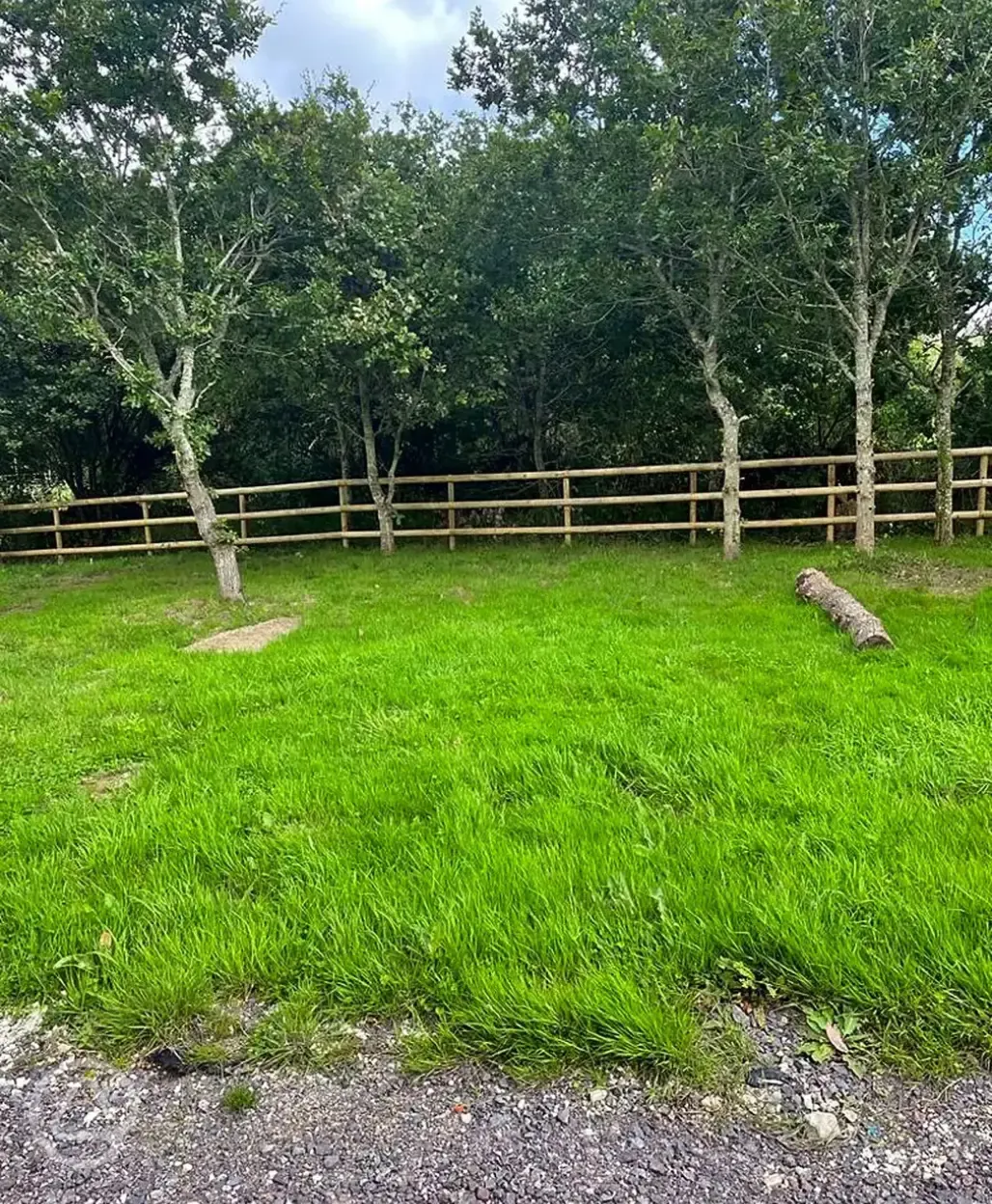 Electric grass pitches