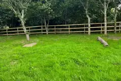 Electric grass pitches Electric grass pitches