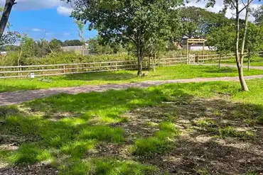Electric grass pitches