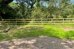 Electric grass pitches Electric grass pitches