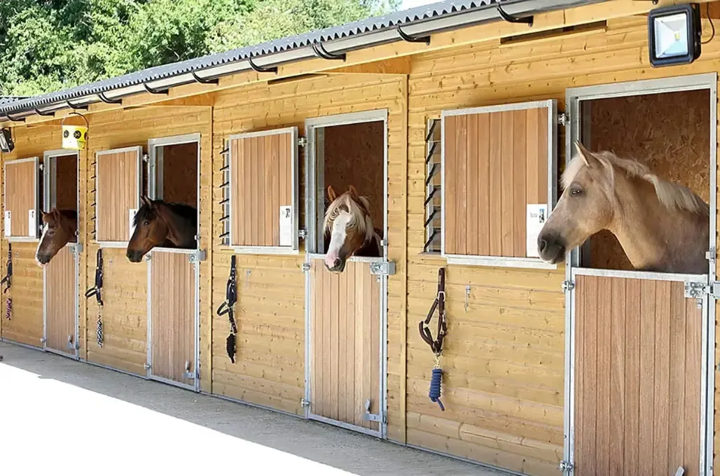 Onsite horses