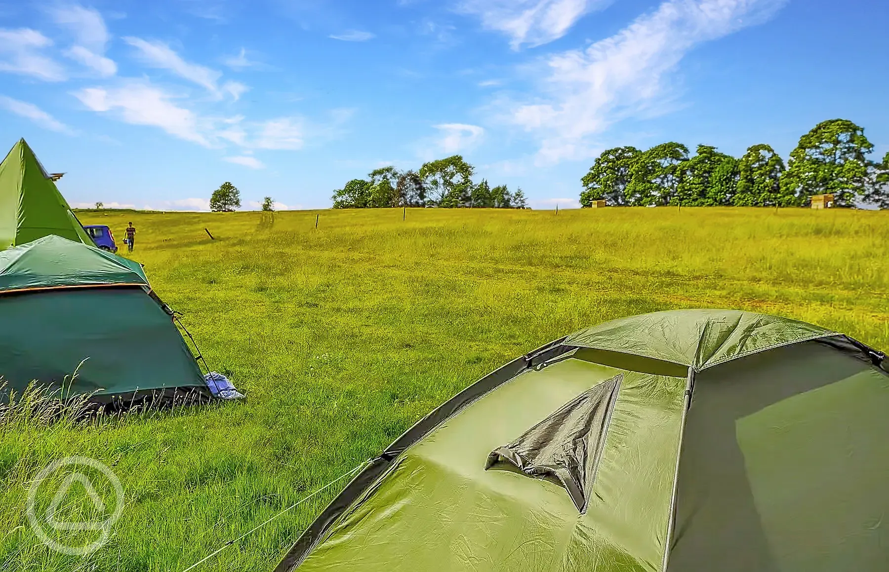 Express non electric grass pitches