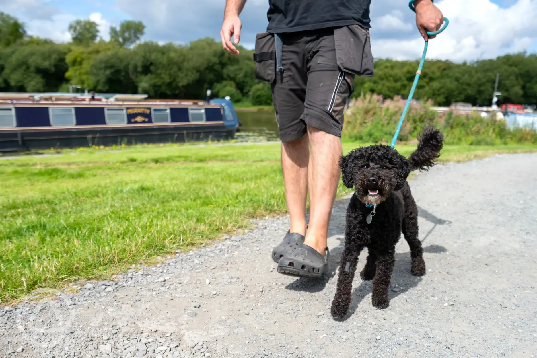 Dog friendly pitches