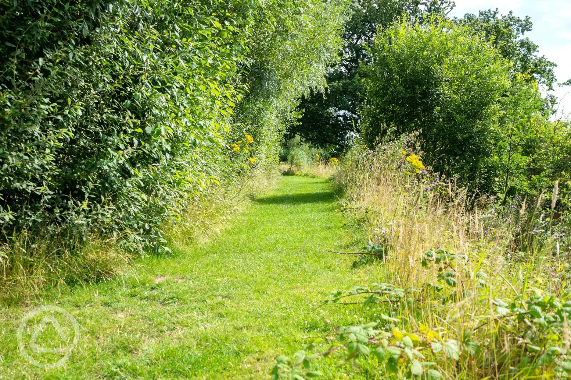 Scenic walks from Oakwood Marina