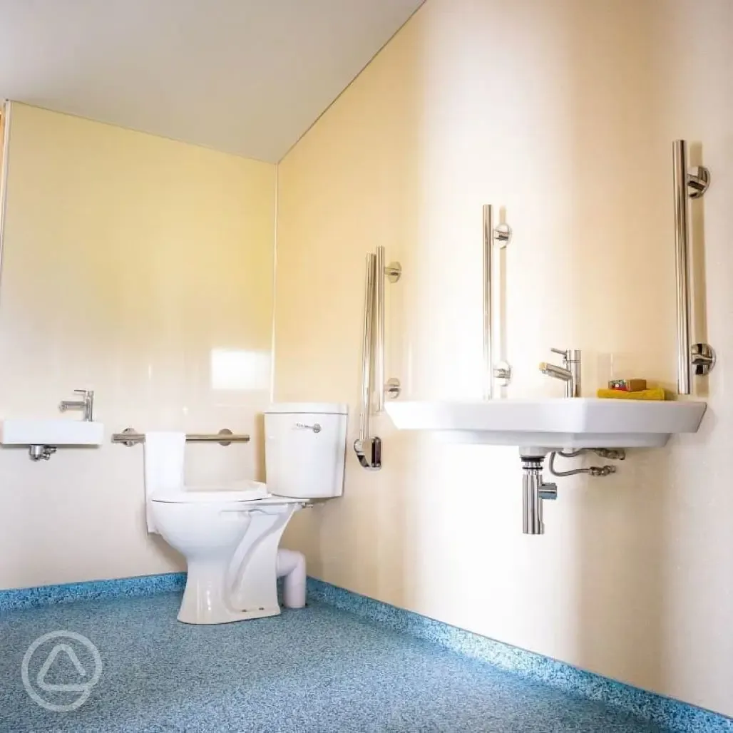 Accessible bathroom in Enfys and Dyffryn