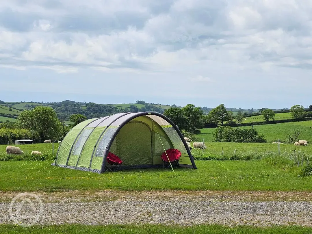 Grass pitches