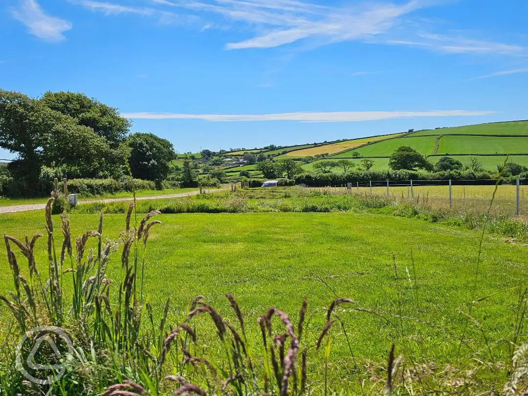 Grass pitches