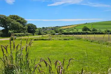 Grass pitches