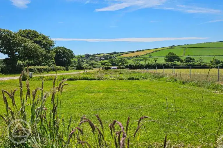 Grass pitches