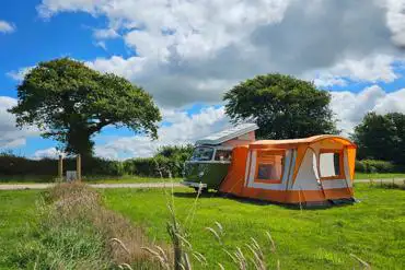 Grass pitches