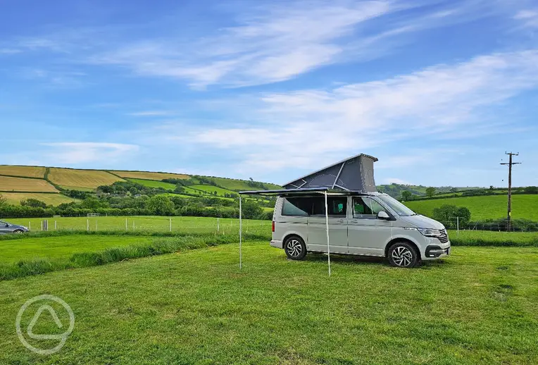 Grass pitches 