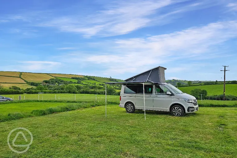 Grass pitches 