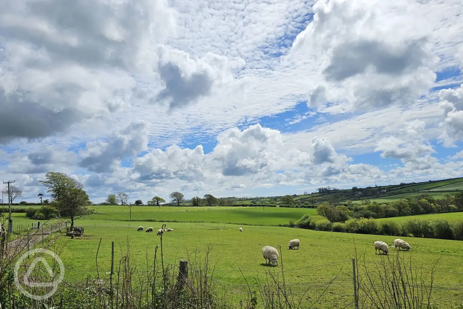 Grass pitches