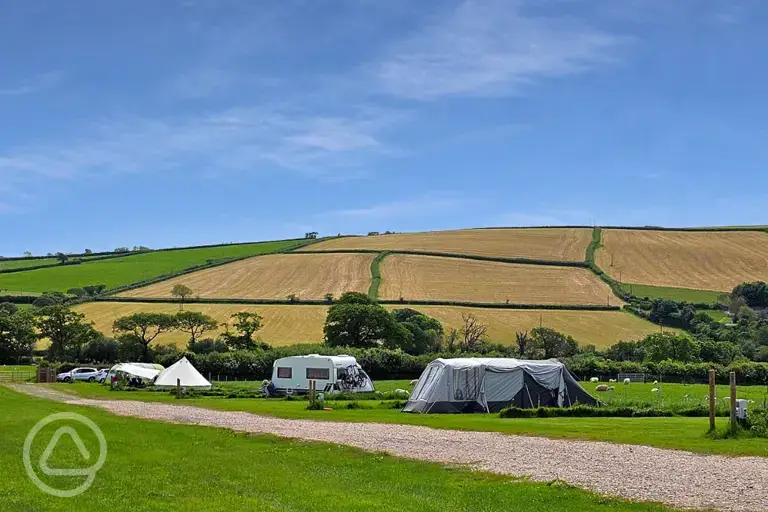 Grass pitches 