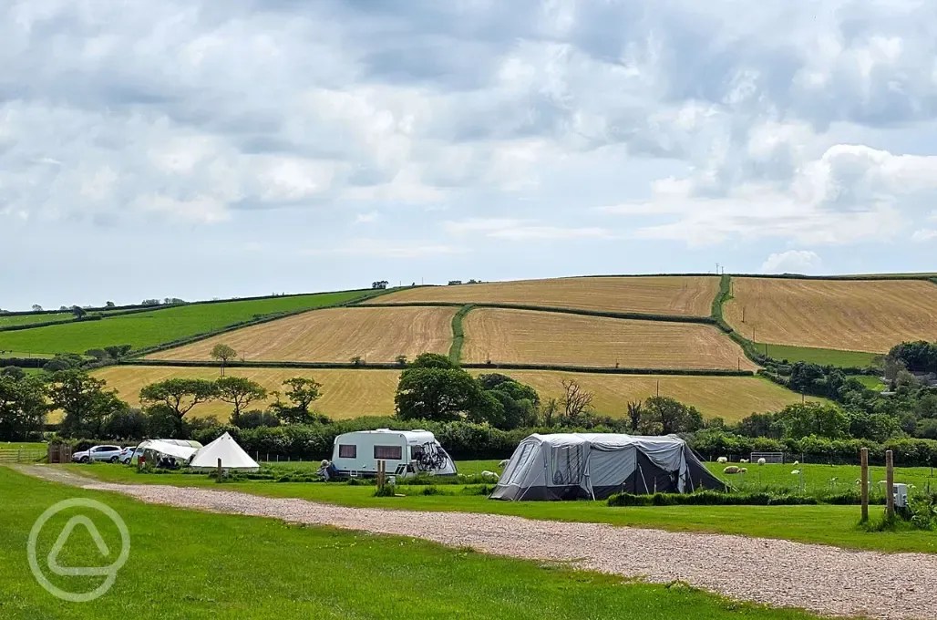 Grass pitches