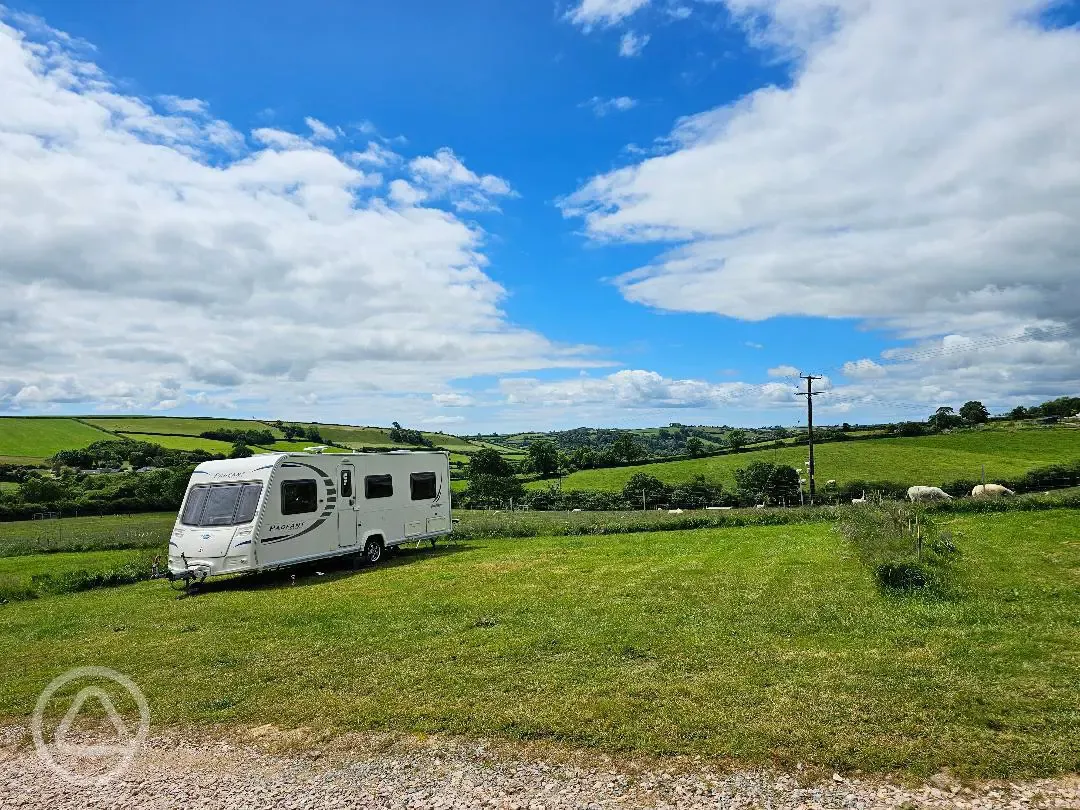 Grass pitches