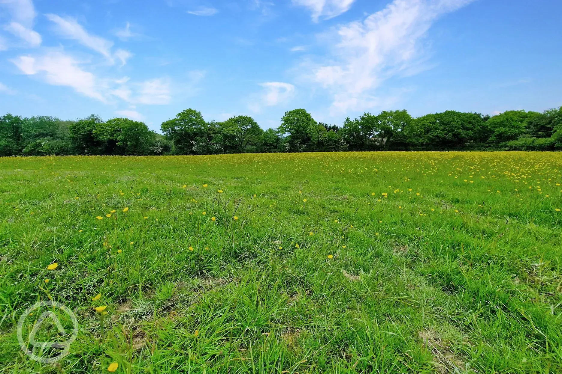 Grass pitches