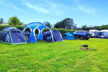 Medium electric grass pitches